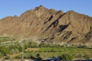 Quelles sont les particularités de la zone franche de Fujairah